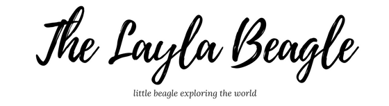The Layla Beagle